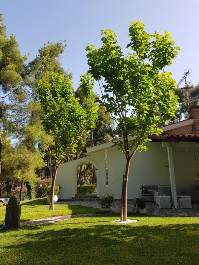 Sani Villa Christy ภายนอก รูปภาพ